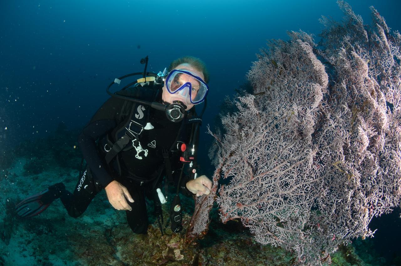 Cabilao Sunset Dive & Beach Resort Loon Экстерьер фото